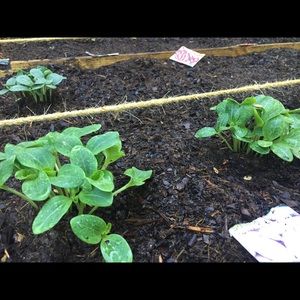 Meet your Posher, Adrianna